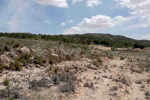 Helårsgrund i Yecla, Murcia, Yecla - € 25.000 | Ref: SF0457 - foto 4